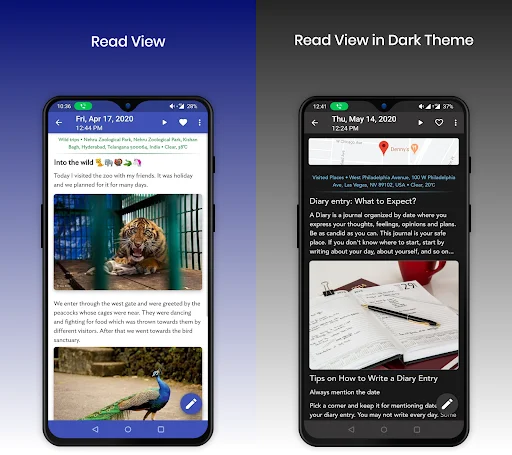 Diary entry read view in light theme with formatted text, images and mood indicators; Diary entry read view in dark theme with same content and styling features